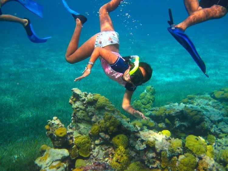 Palancar Reef Cozumel Palancar Snorkeling Tour Cozumel Cruise Excursions
