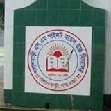 Palashbari S.M. Pilot High School