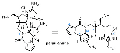 Palau'amine Total Synthesis of Palau39amine by Baran