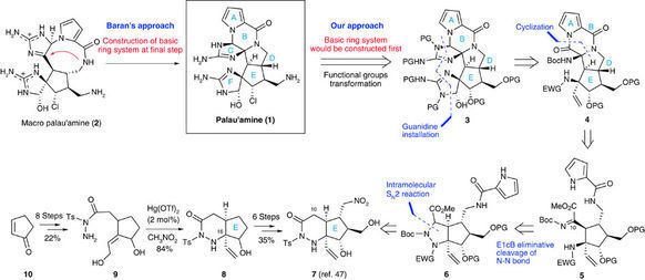 Palau'amine Total synthesis of palau39amine Nature Communications