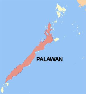 Palawan (island)