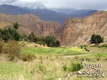 Palca, Bolivia wwwbolivianexperiencecomEnglishHTMLPicturesRe