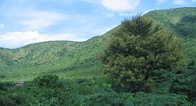 Palkonda Hills httpsuploadwikimediaorgwikipediacommonsthu