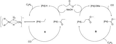 Palladium hydride Scheme 7 Formation the palladiumhydride and palladiumethyl