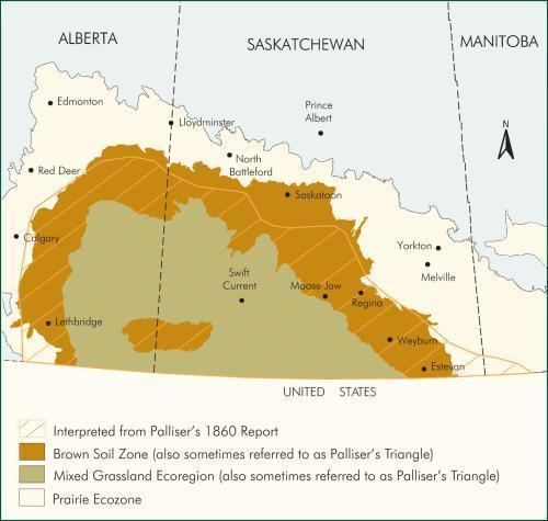 Palliser's Triangle The Encyclopedia of Saskatchewan Details