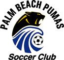 Palm Beach Pumas httpsuploadwikimediaorgwikipediaen33dPal