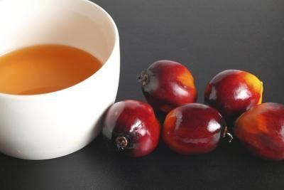 Palm kernel oil What Are the Benefits of Palm Kernel Oil LIVESTRONGCOM