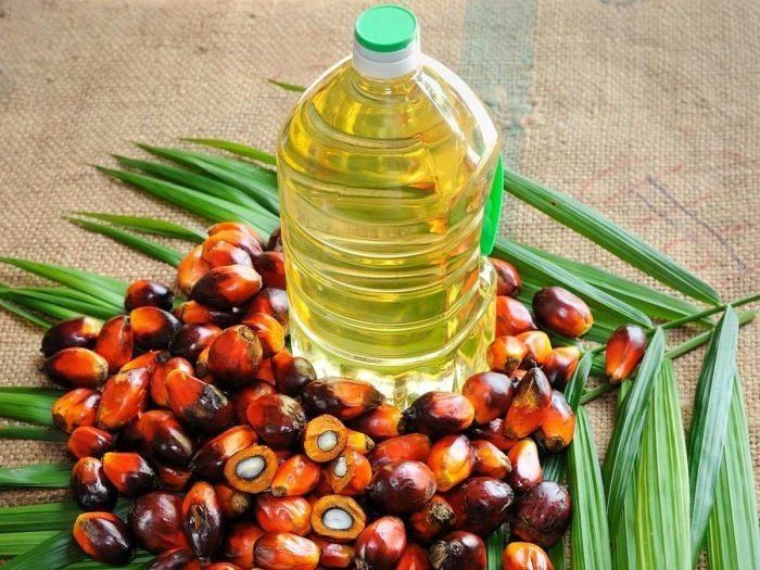 Palm oil 5 Amazing Benefits of Palm Oil Organic Facts
