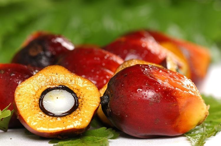Palm oil Palm Oil maybe not such a good idea after all Human Food Project