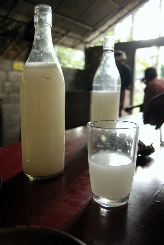 Palm wine Palm wine Wikipedia