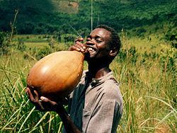 Palm wine httpsuploadwikimediaorgwikipediacommonsthu