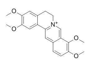 Palmatine Palmatine CAS3486677 Product Use Citation ChemFaces