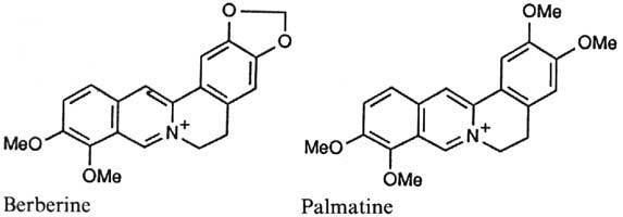 Palmatine Impetigo and its Treatment Inhibitors of Staphylococcus