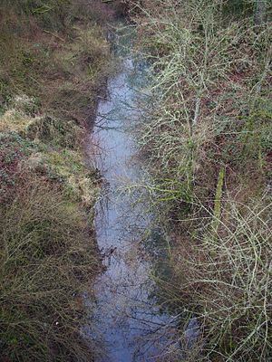 Palmer Creek (Yamhill River) httpsuploadwikimediaorgwikipediacommonsthu