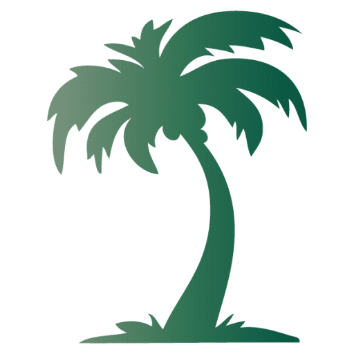Palmier site des palmiers conseils entretien