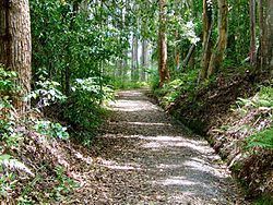 Palmwoods-Buderim Tramway httpsuploadwikimediaorgwikipediacommonsthu
