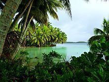 Palmyra Atoll httpsuploadwikimediaorgwikipediacommonsthu