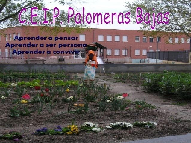 Palomeras Bajas httpsimageslidesharecdncomlaexperienciaescol