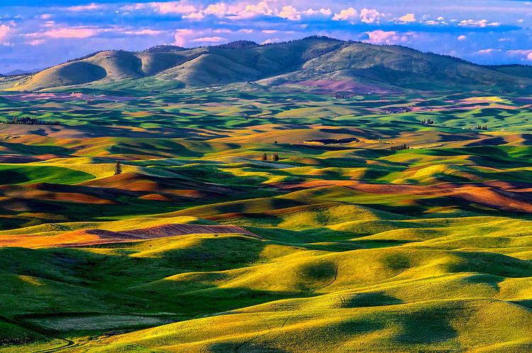 Palouse Picturesque Ancient Dunes in Palouse Region USA Places To See In