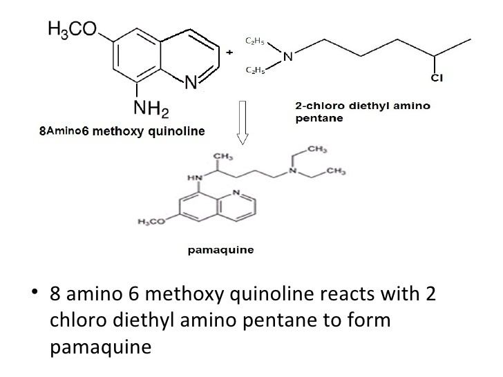 Pamaquine 8 aminoquinolines
