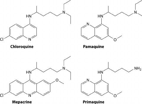 Pamaquine FIG 6 Chemical structures of chloroquine pamaquine plasmoquin