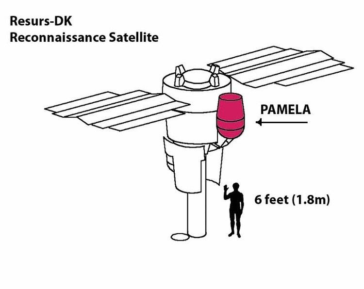 PAMELA detector