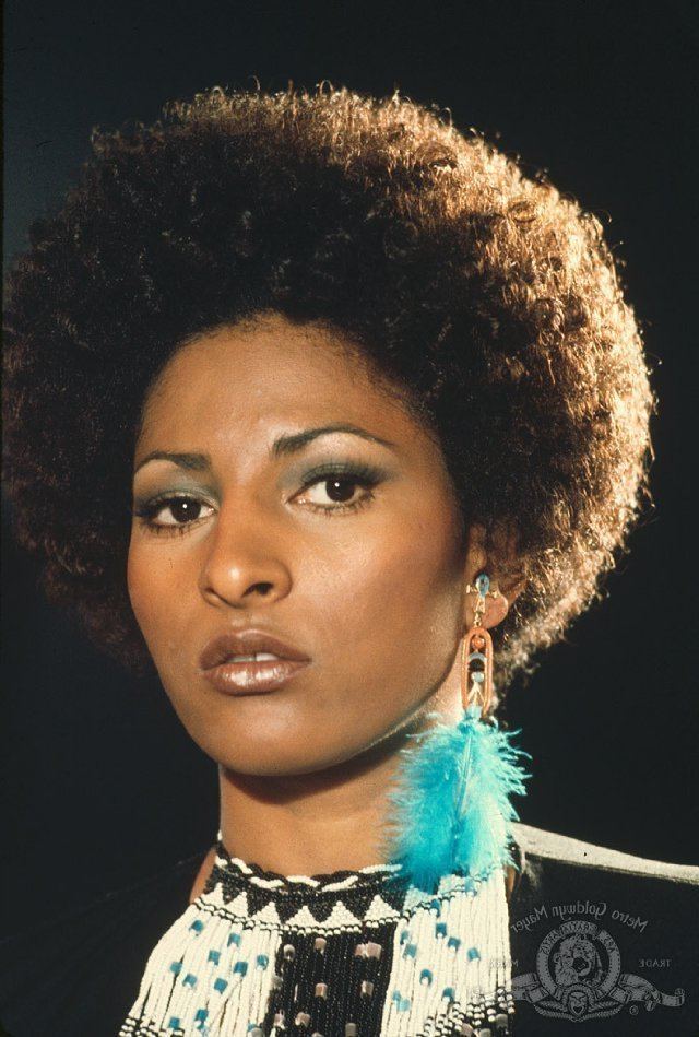 Pamela Greer Pam Grier profile videos weight pics amp twitter comments