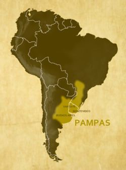 Pampas Pampas Wikipedia
