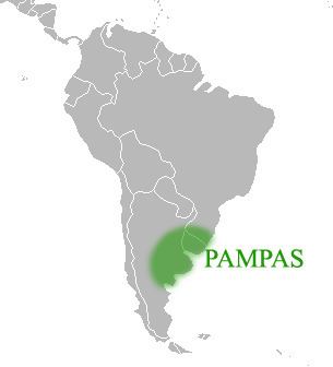 Pampas Pampas Simple English Wikipedia the free encyclopedia