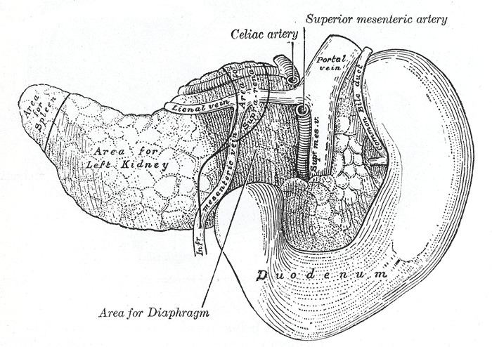 Pancreatic injury