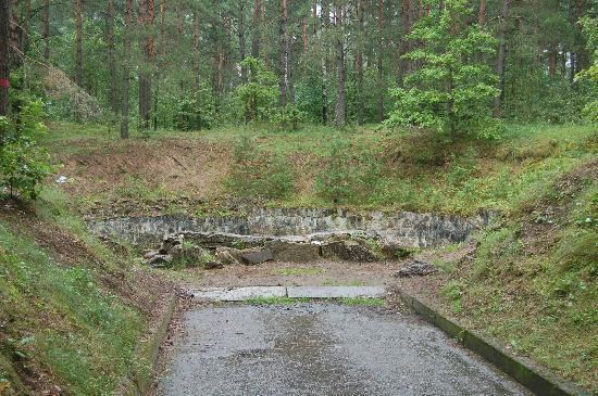 Paneriai One of the massacre pits at Paneriai Picture of Paneriai Ponar