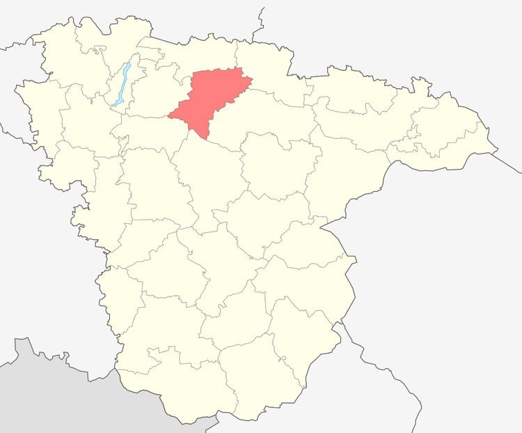 Paninsky District