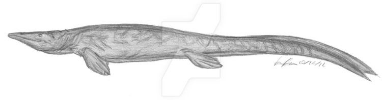 Pannoniasaurus pannoniasaurus DeviantArt