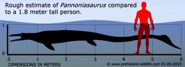 Pannoniasaurus Pannoniasaurus