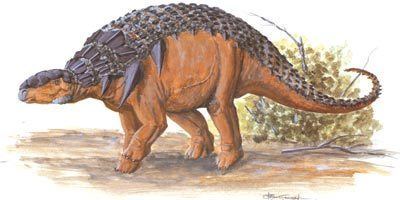 Panoplosaurus Panoplosaurus HowStuffWorks
