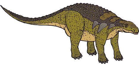 Panoplosaurus wwwdinosaurjunglecomi1Panoplosaurus055sjpg