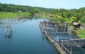 Pansipit River Pansipit River Rehabilitation Program Government Innovators Network