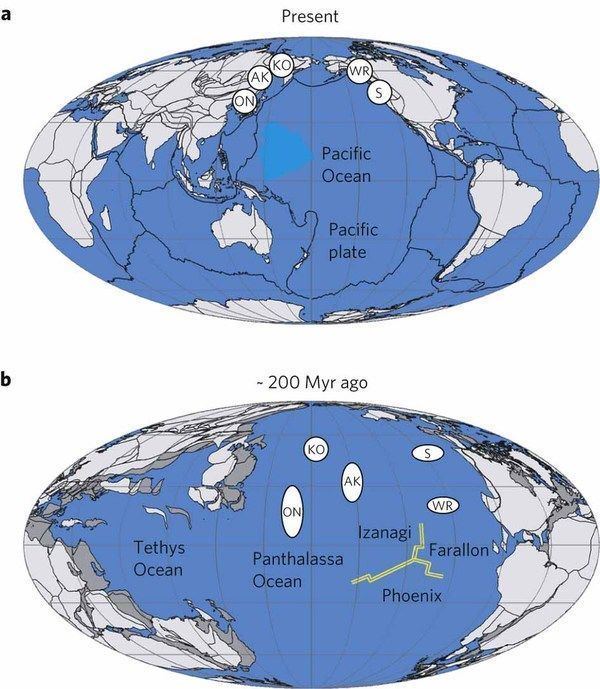 Panthalassa IntraPanthalassa Ocean subduction zones revealed by fossil arcs and