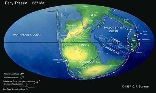 Panthalassa Before the Pacific finding the lost islands of a Pangeaera ocean