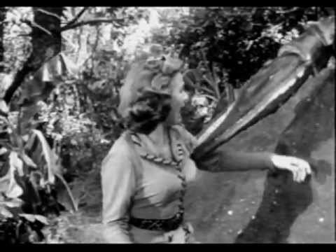 Panther Girl of the Kongo 1955 Panther Girl of the Kongo Chap 02 YouTube