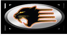Panther Racing httpsuploadwikimediaorgwikipediaen00cPan