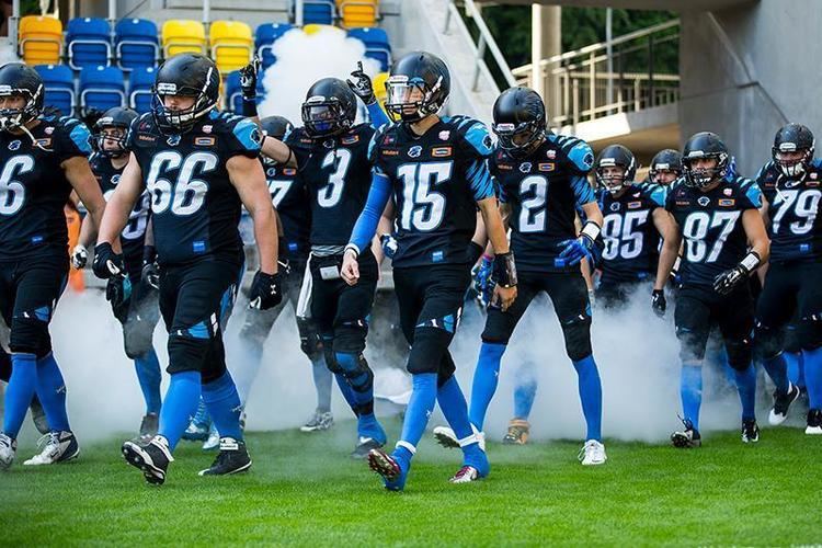 Panthers Wrocław Official Carolina Panthers Topic Volume XII Path to a Threepeat