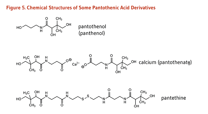 Pantothenic acid Pantothenic Acid Linus Pauling Institute Oregon State University