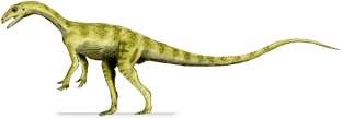 Pantydraco PANTYDRACO DinoChecker dinosaur archive