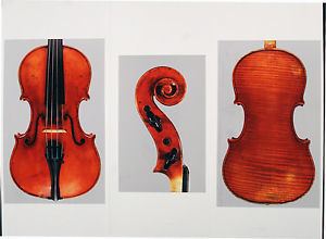 Paolo de Barbieri A very fine Italian violin by Paolo De Barbieri 1924 eBay