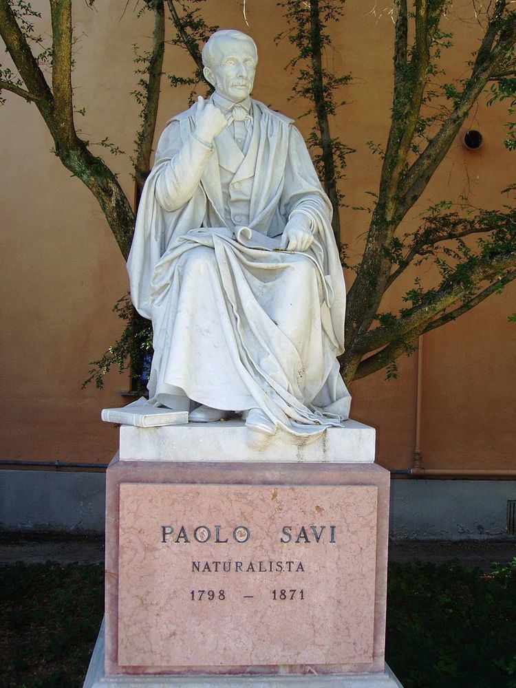 Paolo Savi