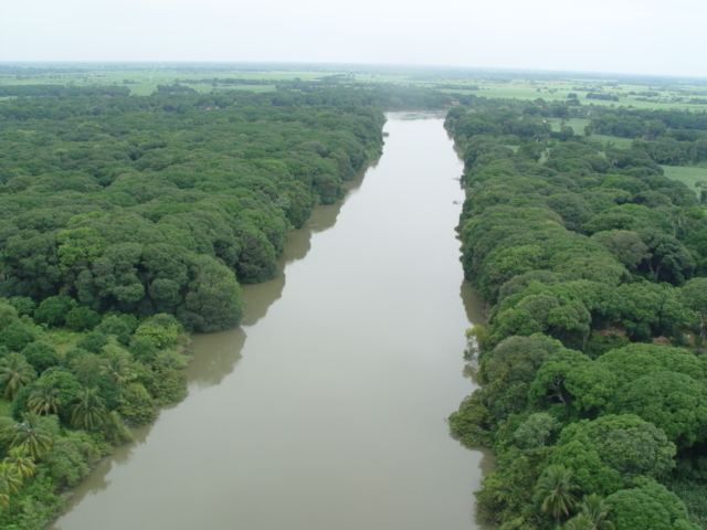 Papaloapan River httpsuploadwikimediaorgwikipediacommonsff