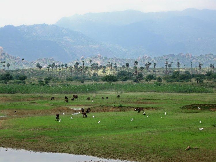 Papanasam Beautiful Landscapes of Papanasam