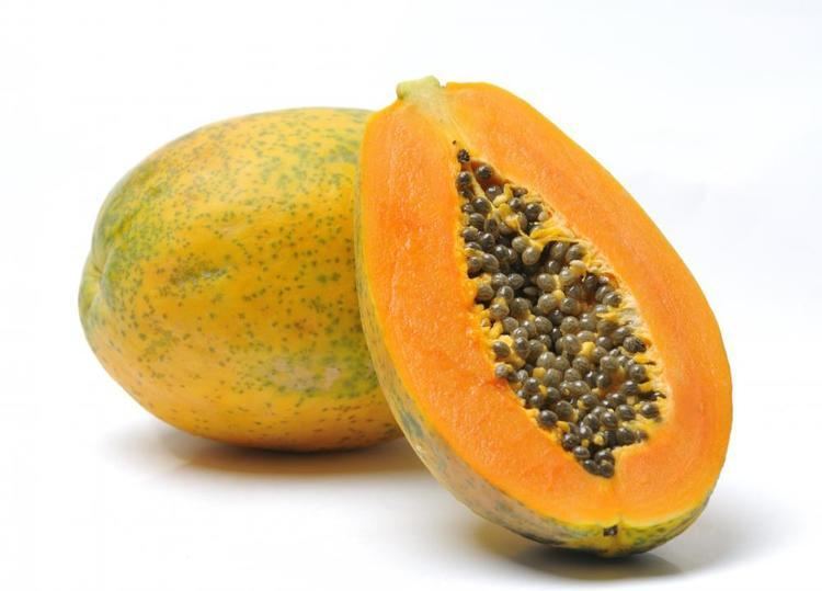 Papaya Diversatech Fertilizer Papaya