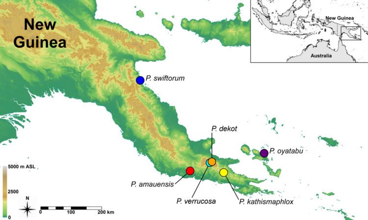 Papuan Peninsula
